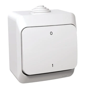 Schneider CEDAR PLUS Kétpólusú kapcsoló, IP44, fehér (102) WDE000520