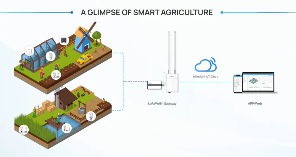 Milesight | IoT | Átjáró