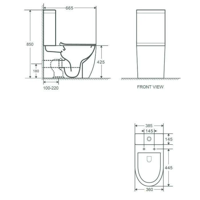 Wellis Sophia monoblokkos rimless WC (WF00111)